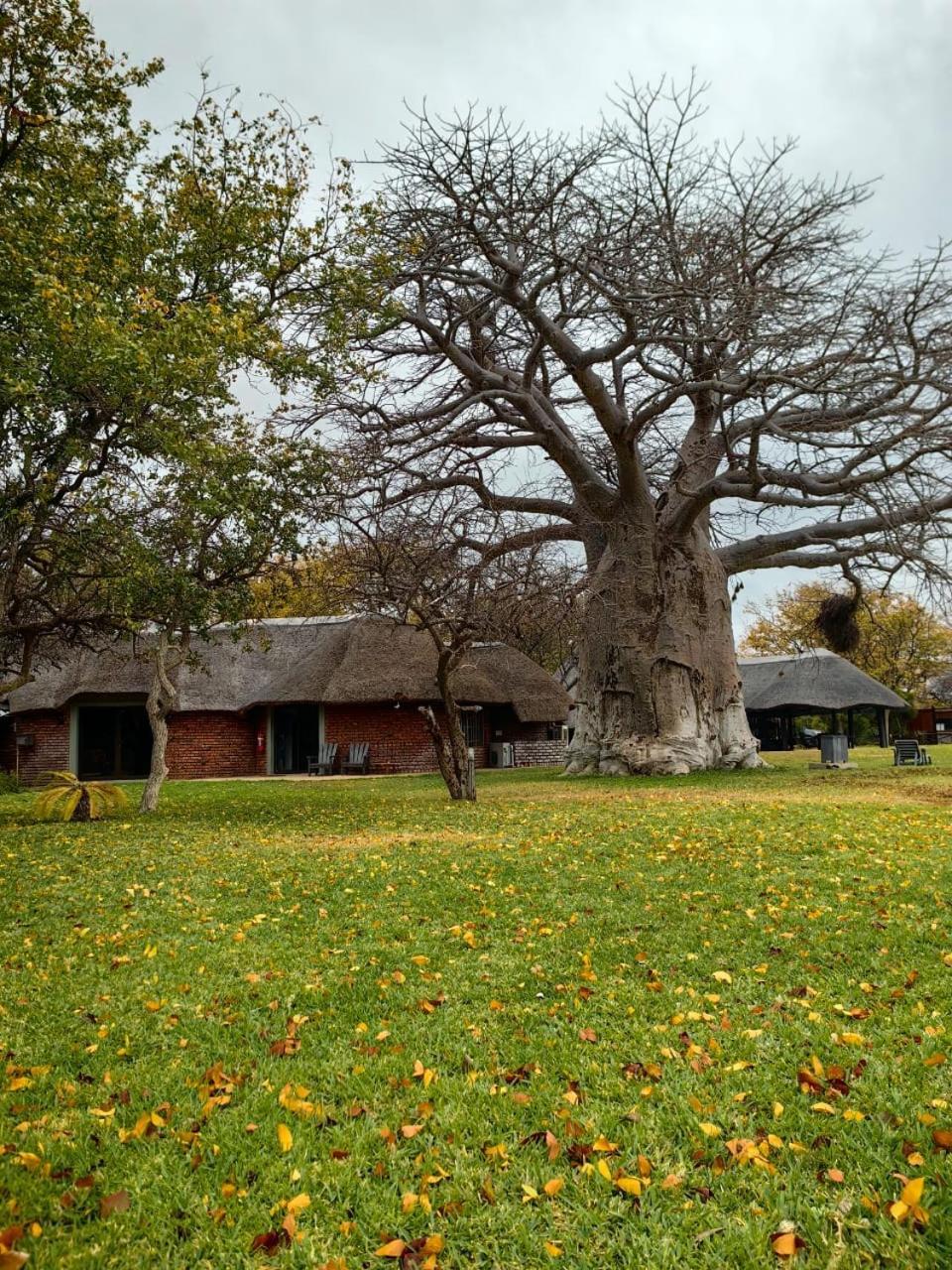 Munati B&B Musina Exterior foto
